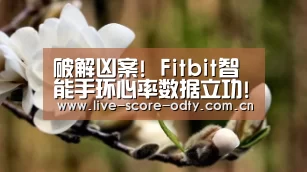 OD体育