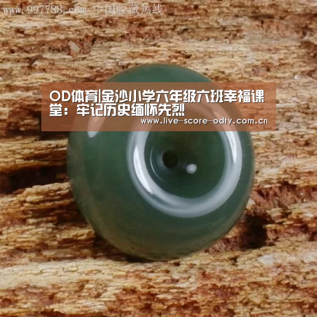 OD体育|金沙小学六年级六班幸福课堂:牢记历史缅怀先烈(图3) od体育下载